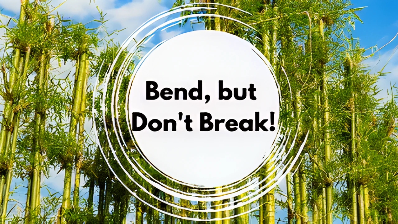 Photo of bamboo trees with a text field over it saying "Bend, but Don't Break!"